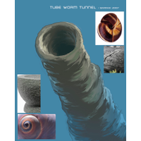Tubeworm Tunnel-X9den18f.jpg
